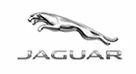 jaguar.webp